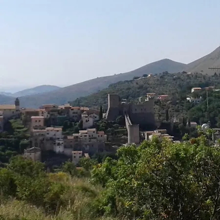 Nido Di Rondine *